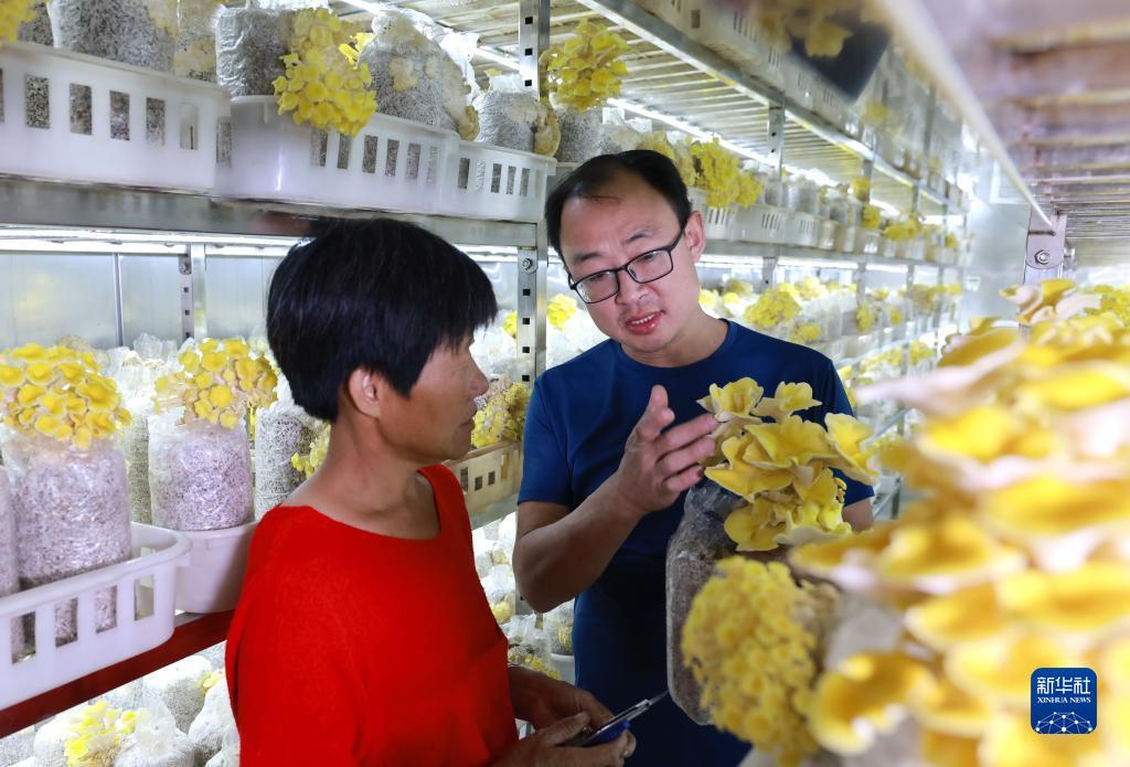 巴黎人投注网